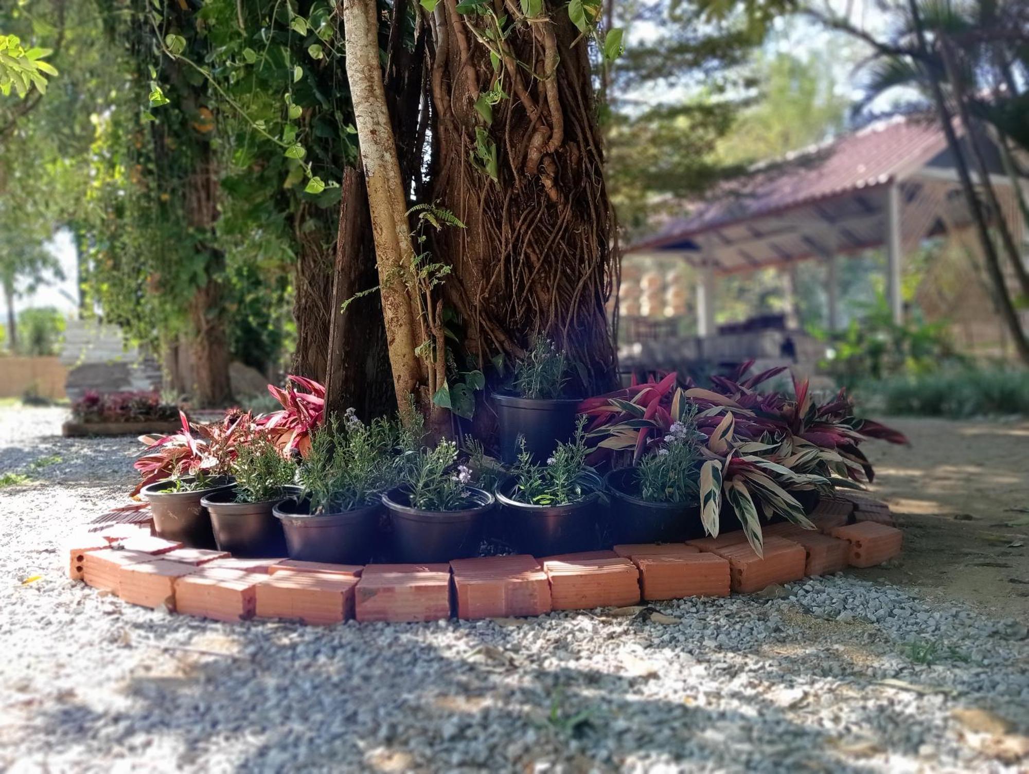 Vangvieng Ruby'Homestay Vang Vieng Ngoại thất bức ảnh